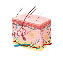 Dermatological agents