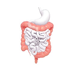 Gastrointestinal agents