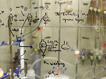 Role of Thiourea in the Kinetic of Growth of the Chemical Bath Deposited ZnS Films